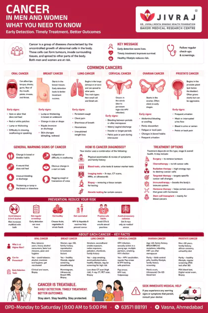 Mosquito Born Diseases English poster preview