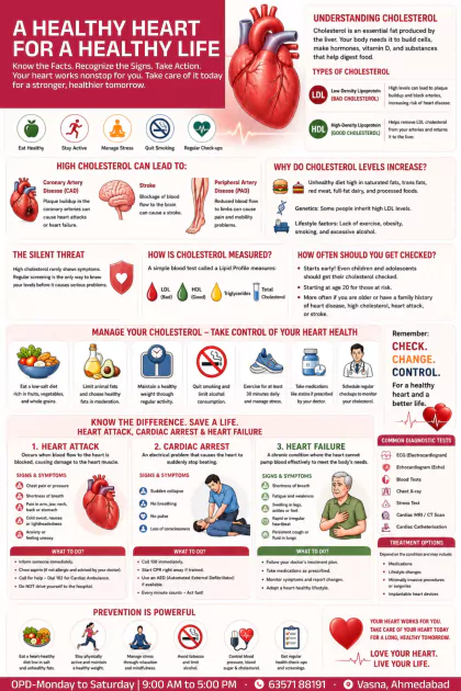 First Aid English poster preview